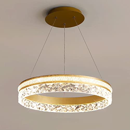 Suspension circulaire créative LED 50W pour illuminer vos dîners chaleureux