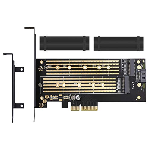 Dual M.2 PCIE Adapter for SATA or PCIE NVMe SSD with Advanced Heat Sink Solution,M.2 SSD NVME (m Key) and SATA (b Key) 22110 2280 2260 2242 2230 to PCI-e x 4 Host Controller Expansion Card #1