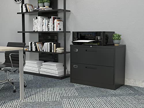 Bynsoe BY Nsoe 2 Drawer Lateral File Cabinet Metal Filing Cabinet With Lock Office Home Steel Lateral File Cabinet thumb #2