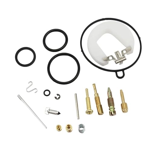 Mantenimiento carburador PZ19 19mm filtro gasolina para ATV y moto de cross