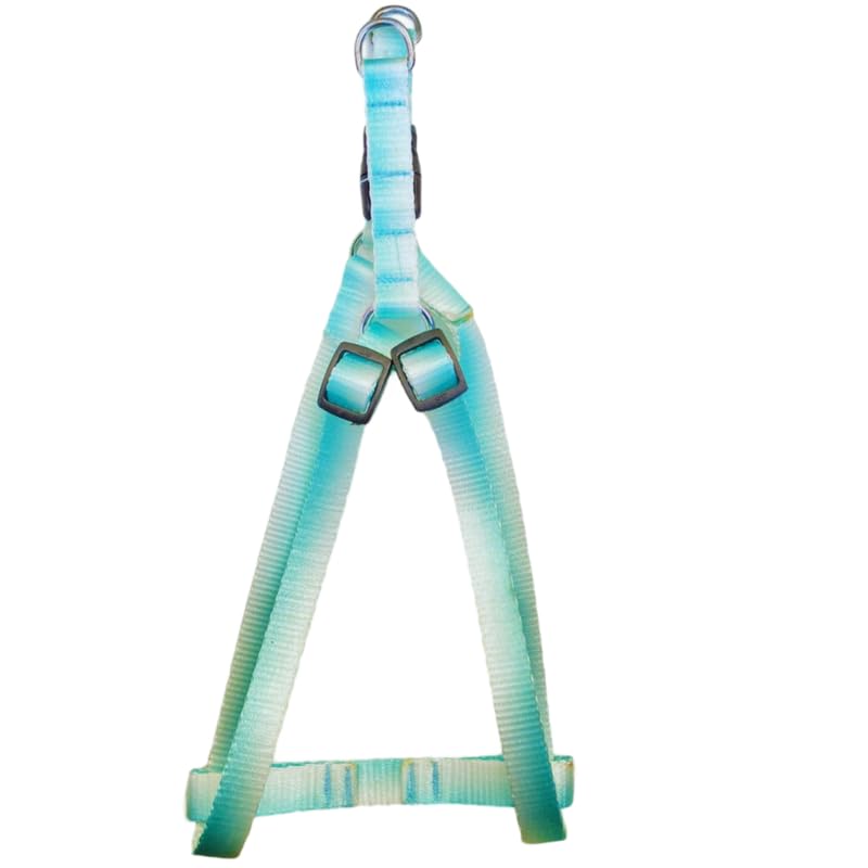 Dog Trust Dog Harness No Pull with Leash Set, Reflective Pet Harness with Breathable Mesh Easy Control Front Clip for Small Medium Large Dogs (Medium, Green) 15Mm Dog Trust Dog Harness No Pull with Leash Set, Reflective Pet Harness with Breathable Mesh Easy Control Front Clip for Small Medium Large Dogs (Medium, Green) 15Mm