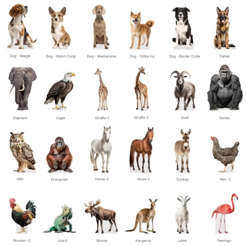 Parrot - Life Size Cardboard Cutout Standup People with Support Standee | Animals -