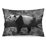 nibaba 1 federa per cuscino con panda che dorme su un albero, colore bianco e nero, 40 x 60 cm, federa quadrata in morbido poliestere