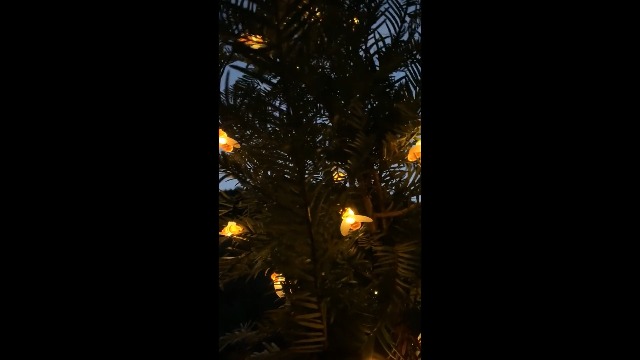 SEMILITS Solar String Lights 20LED Outdoor Waterproof Simulation Honey Bees Decor for Garden Xmas Decorations Warm White