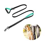 Pedy Dog Leash, Double Handle Leash - Heavy Duty Two Handle Dog Leash - Dog Training Walking Leashes