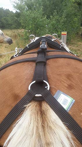 Choix du bridon pour cheval - Blog | La Rose des Cuirs