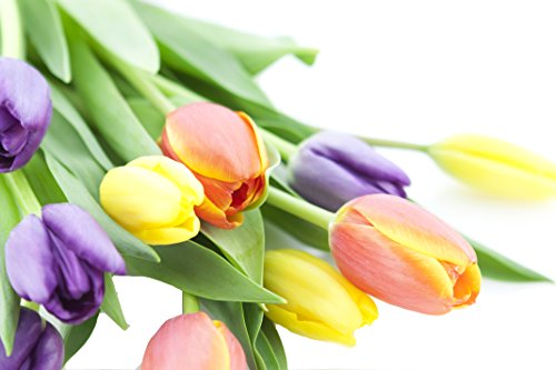 Image of KaBloom-10 Assorted Tulip Bouquet,Flowers for Valentine, Mother's Day