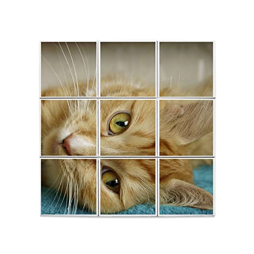 Carreaux céramique chat roux pour personnaliser vos murs