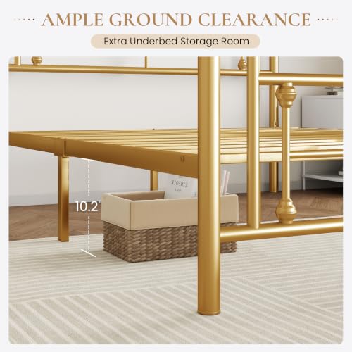 Image of SHA CERLIN 14 Inches Queen Size Metal Platform Bed Frame /Vintage Iron-Art Headboard and Footboard /Mattress Foundation for Storage /No Box Spring Needed /Noise-Free /Easy Assembly /Gold