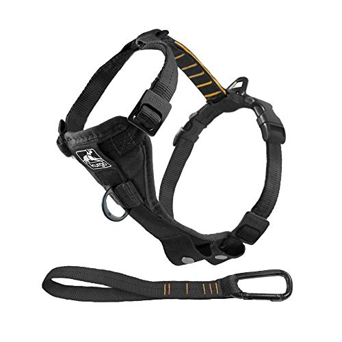 Kurgo Tru-Fit Smart Hundegeschirr, Mit gepolstertem Brustteil und D-Ring, Inklusive Autosicherheitsgurt, Größe XS, Schwarz