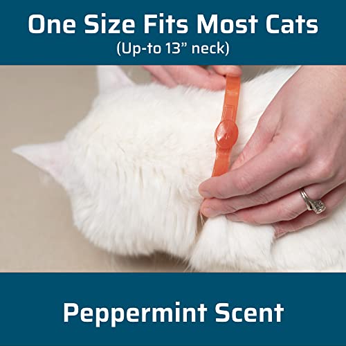 Wondercide Natural Essential Oil Cat Flea and Tick Collar #TOP25