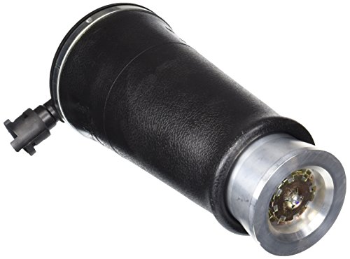 Arnott A-2220 Robuste Heckluftfeder – 90–11 Ford/Lincoln/Mercury Cars (verschiedene Modelle) – links oder rechts