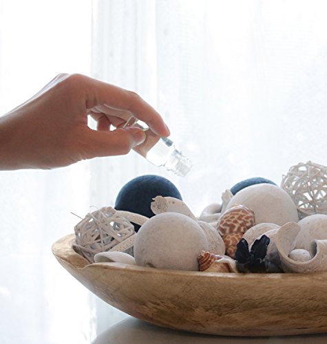 image for ANDALUCA Pacific Isles Scented Potpourri | Made in California Beach Ho