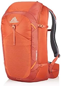 Gregory Men's Backpack, Orange (Ferrous Orange), One Size
