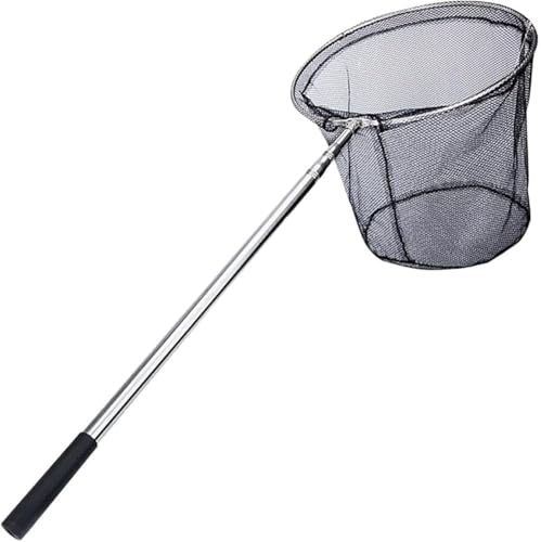 KJOET ^ ʖ ^ fBOlbg Lk  ی` ܂肽ݎ ߉\ y ނpi  W CKp S