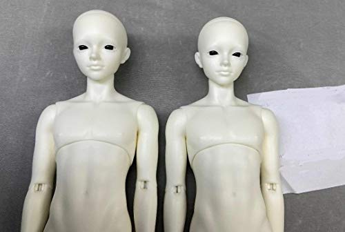 Amazon | BJD（ 本体のみ ）球体関節人形 BJDドール カスタムドール