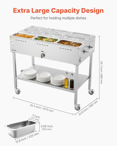 Image of VEVOR 9-Pan Commercial Propane Steam Table, LP Gas Outdoor Soup Warmer with Drain Valve and 3 inch Wheels, Stainless Steel Propane Food Warmer with Adjustable Temperature, for Restaurant Outdoor Camping