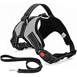 Musonic No Pull Dog Harness, Breathable Adjustable Comfort, Free Leash Included, for Small Medium Large Dog, Best for Training Walking (Gray, S)