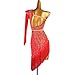 ZHQNZJF Latin Dance Dresses for Women Tassel Cha Cha Modern Dance Competition Costume Hollow Tango Dancewear,E,S