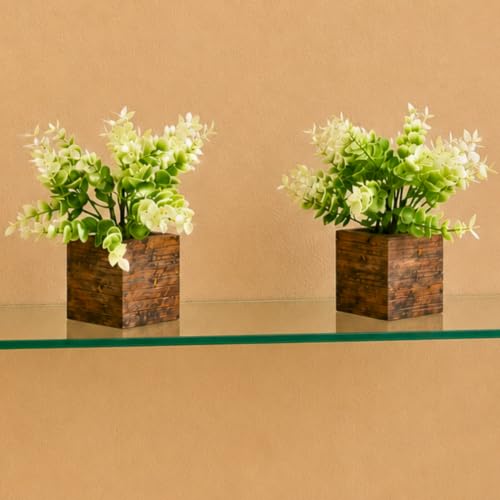 Image of DecoreBugs Artificial Eucalyptus Plant with Plastic Pot (Pack of 2) | 12 cm Height | Mini Potted Plants for Shelf Decor, Home, Office, Living Room, Desk & Table Item Decoration