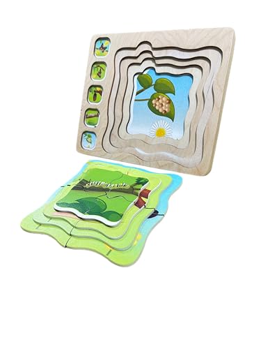 Image of Butterfly Life Cycle Layering Puzzle - Montessori Puzzle for Kids, Wooden Puzzle with Layers Showing Butterfly Transformation, Ages 2+