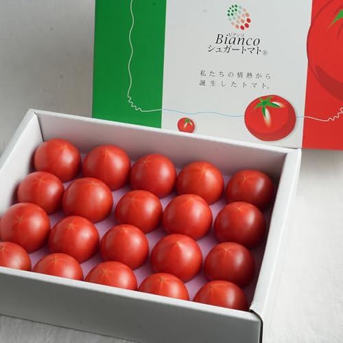 シュガートマト 糖度8度以上 (1kg) 高知県産 高糖度フルーツトマト JA 化粧箱入れ 家庭用 贈答 高知 ふるさと納税