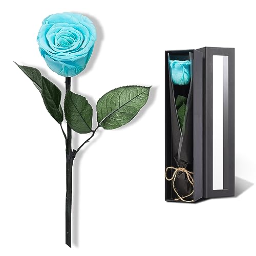 Image of Sky Blue Flowers for Delivery Prime, Preserved Blue Roses Flower Gifts for Women, Real Roses Single Rose Gifts for Her, Mom Birthday Gifts from Daughter, Valentines Flowers