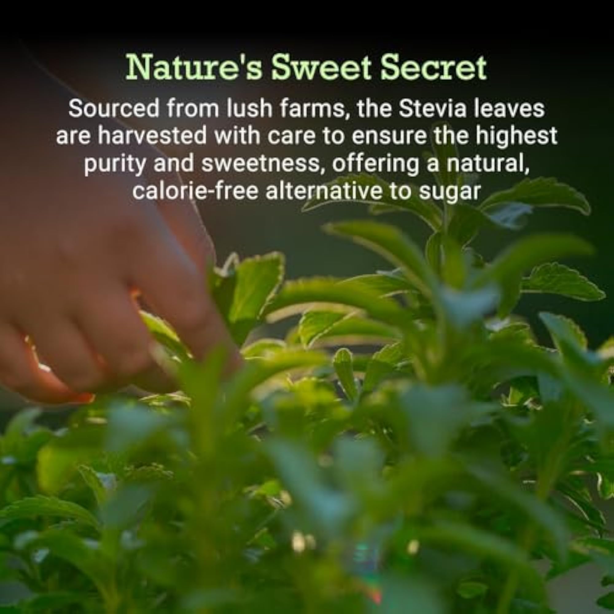 Pure Stevia Drops Natural Sweetener, 30ml