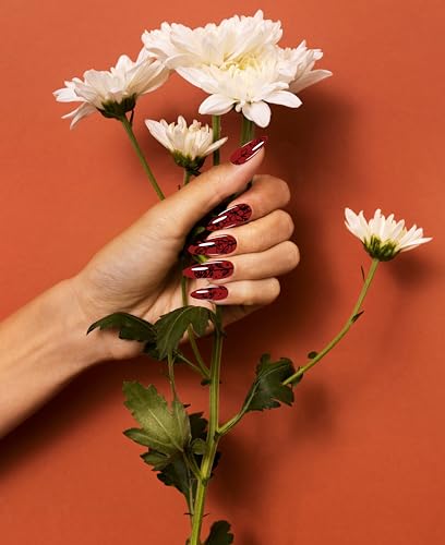 Dagslys 1 peça de placa de estampagem de arte de unha, retrô, borboleta, flores, palavras geométrica