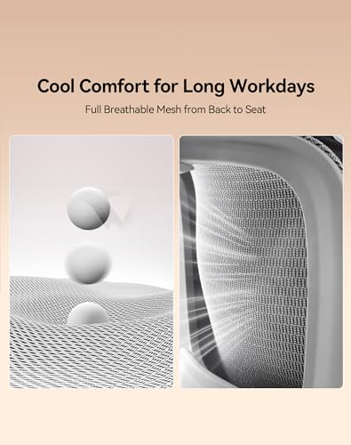 Image of SIHOO B100 Office Chair, Comfy Ergonomic Office Chair, High Back Computer Chair with Adaptive Lumbar Support & wide Headrest, Flip-up Armrests, Swivel Desk Chair for Long Hours, WITHOUT Footrest, Grey