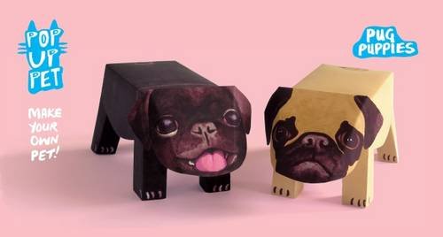 Pop Up Pet Pug Puppies