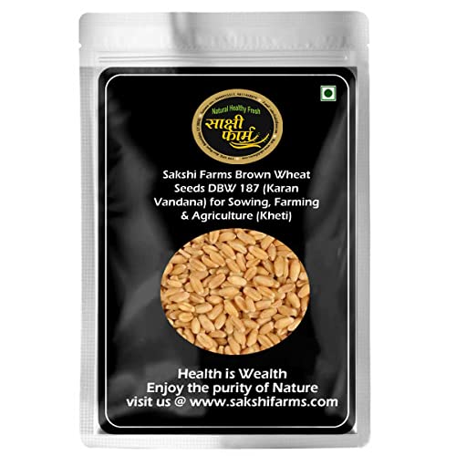 Image of Sakshi Farms Brown Wheat Seeds Pusa Karan Vandana (DBW 187) for Sowing, Farming & Agriculture (Kheti खेती) | Pure Pusa Karan Vandana (DBW 187) Wheat Seeds Gehu Ka Bheej | 20 KG