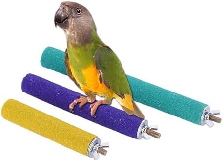 best bird perches for quakers that will surprise every owner 5 PIVBY Wood Bird Cage Perch Colorful Parrot Stand Toy Platform Paw Grinding Stick for Small Medium-Sized Bird Parakeet Cockatiel Conure Budgies Lovebird inches and Canary Colors Vary Pack of 3