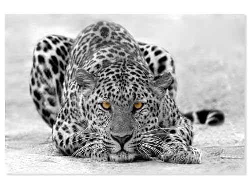 Hexoa Tableau Leopard Noir et Blanc - Made in France - Toile imprimée 90x60