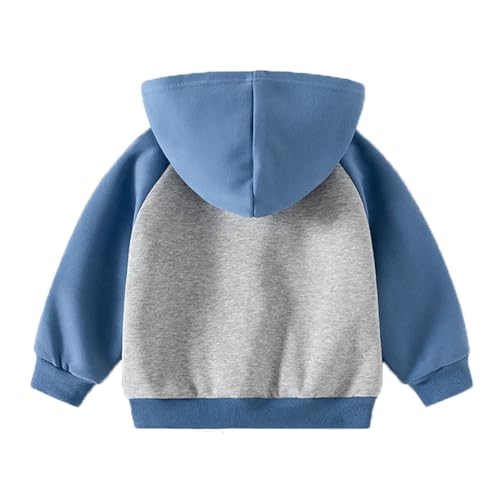 Toddler Baby Boy Girl Zip Up Hoodies Solid Color Casual Long Sleeve Hooded Sweatshirts Jacket with Pocket2