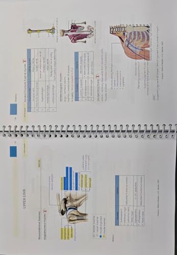 Image of Marrow World of Revision Notes (LATEST-EDITION - 9)(DEC-2025)(COMPLETE-SET 19 SUBJECTS)DIGITAL HD COLOURED PRINTED NOTES WITH SPIRAL BINDING-(2025-2026)