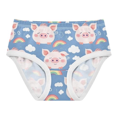 Wusikd Pig Face Girls' Underwear Cotton Rainbow Clouds Girls Briefs Soft Toddler Underwear 2T