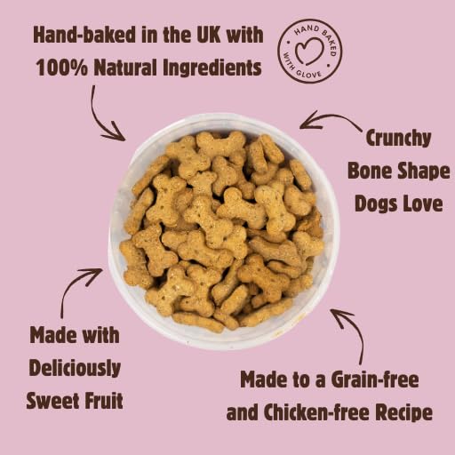 Betty Miller Grain Free Dog Treats - Banana, Apple & Blueberry Bones - 1kg Bulk Dog Treats - British Baked Dog Biscuits - Image 2