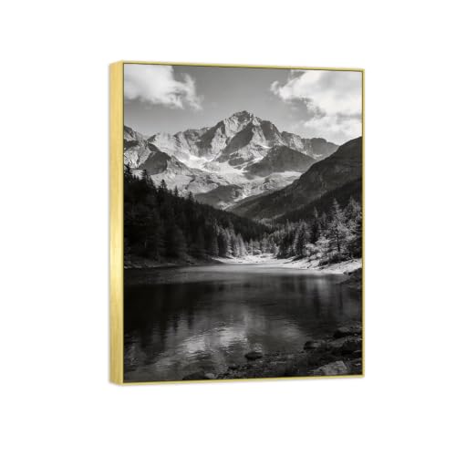 Tableau Décoration Murale Lac Montagne 3 Noir et Blanc Toile 60x80 Cadre Doré