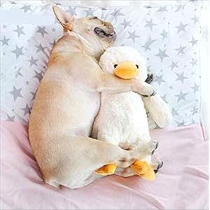 HOOPET Plush Duck Dog Toy Stuffed Animal Toys Large Squeaky Dog Toys Soft Pillow Snuggle Cuddle Puppy Toy for Big Medium Small Breed Dog
