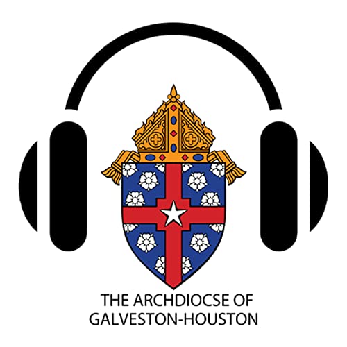Archdiocese of Galveston-Houston Titelbild