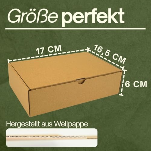 Kartons Versand | Versandkartons Klein 10Pcs | Maxibriefkarton | Verpackungskartons | Warensendung Karton | Geschenkbox Kraftpapier | Faltkarton | Pakete für Versand | Cardboard Box 17x16,5x6cm