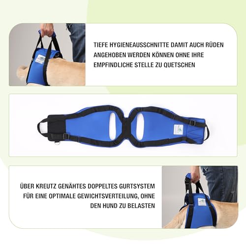 Nature Pet © - Tragehilfe Hund hinten - Verstellbarer Hunde Tragegurt als Treppenhilfe - Ideal für ältere, kranke oder operierte Vierbeiner - Praktische Unterstützung für Mobilität (M, Blau)