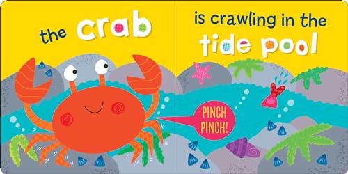 Image of Who is in the Ocean? Padded Board Book (Padded Cover)