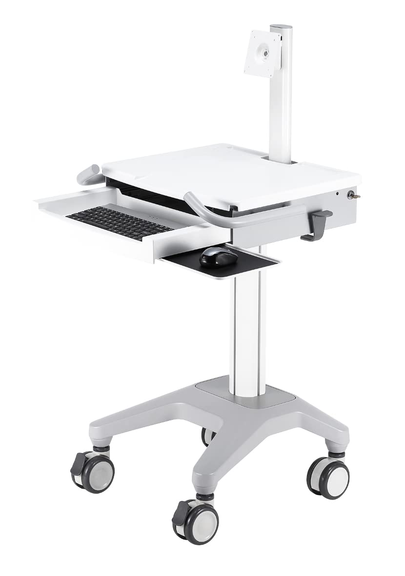 Buy Aluminum Rolling Computer Cart with Wheels, SitStand Workstation