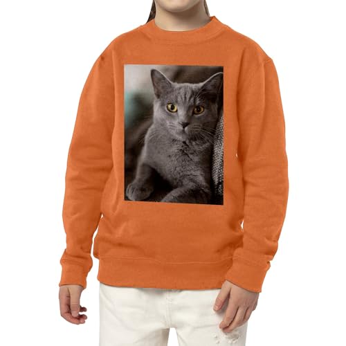 Sweat enfant chat Russian Blue le cadeau d'anniversaire idéal - 3
