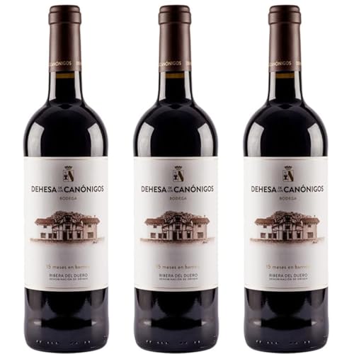 Dehesa de los Canónigos 15 Meses Vino Tinto Ecológico con Crianza, Aromas Frutales y Notas de Roble, Ideal para Carnes, Guisos y Quesos Curados| 3 botellas