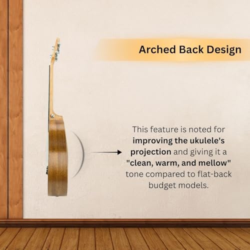 Image of Vault UK-100T 26 inch Arched Back Tenor Ukulele With Gig-Bag & E-Book - Natural