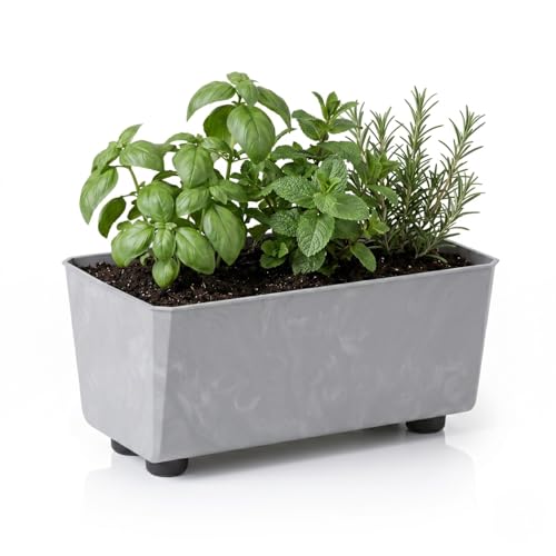 LAMELA Rechteckiger Pflanzkasten mit eleganten Füßen Grauer Blumenkübel in Betonoptik aus robustem Kunststoff 28 5 x 17 cm 4 2L Wetterfest & Pflegeleicht - für Innen & Außen