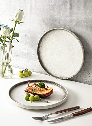 S&Q's Ceramics Dinner Plates Set For Kitchen, Microwave, Oven And Dishwasher Safe, Scratch Resistant (10 Inch), [Set Of 6] (Irony White) #TOP3